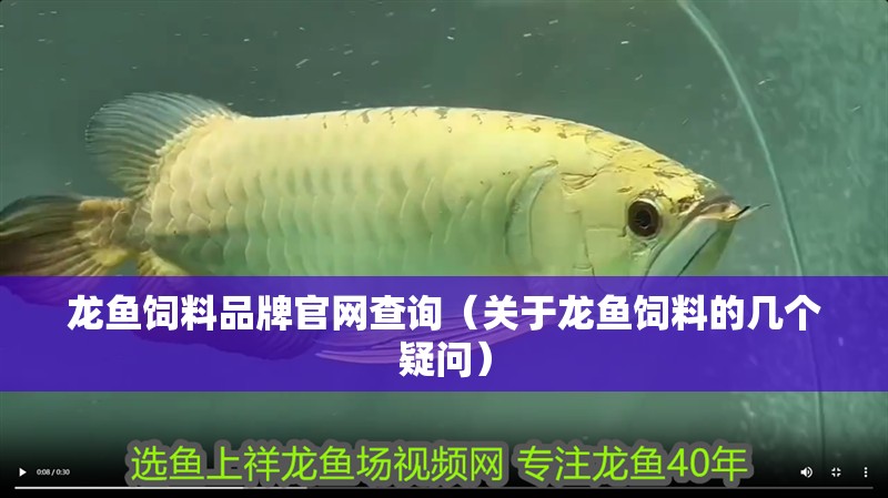 龍魚飼料品牌官網查詢（關于龍魚飼料的幾個疑問） 龍魚飼料品牌官網查詢（關于龍魚飼料的幾個疑問） 觀賞魚百科