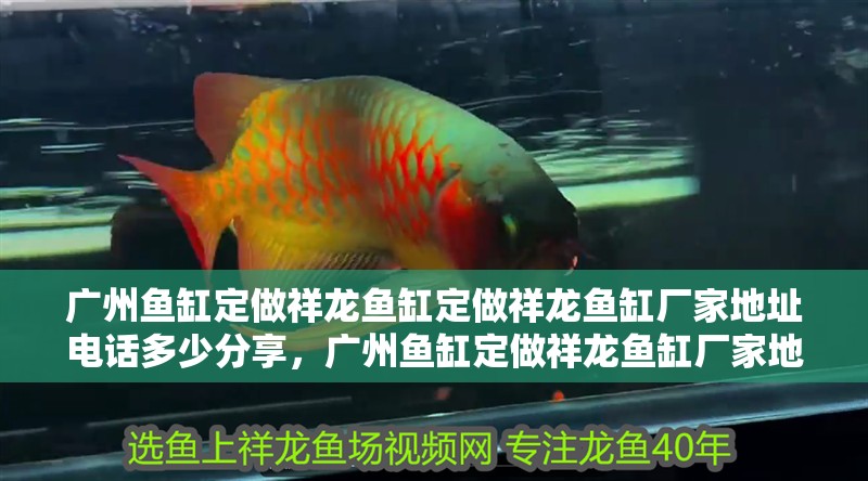 廣州魚(yú)缸定做祥龍魚(yú)缸定做祥龍魚(yú)缸廠家地址電話多少分享，廣州魚(yú)缸定做祥龍魚(yú)缸廠家地址電話多少