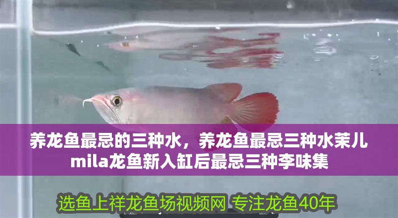龍魚(yú)殺蟲(chóng)藥有效性因種類(lèi)而異，哪種龍魚(yú)殺蟲(chóng)藥口碑最好？