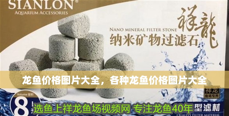 龍魚價格圖片大全，各種龍魚價格圖片大全 龍魚價格圖片大全，各種龍魚價格圖片大全 觀賞魚百科
