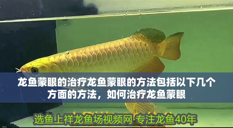 龍魚蒙眼的治療龍魚蒙眼的方法包括以下幾個方面的方法，如何治療龍魚蒙眼 龍魚蒙眼的治療龍魚蒙眼的方法包括以下幾個方面的方法，如何治療龍魚蒙眼 觀賞魚百科 第2張