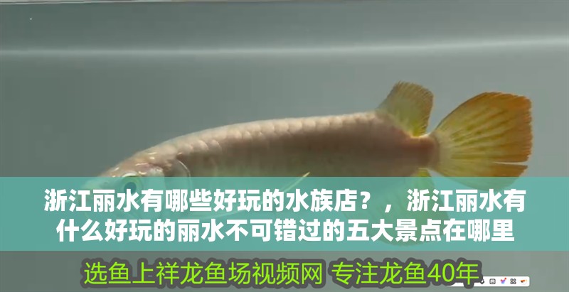 浙江麗水有哪些好玩的水族店？，浙江麗水有什么好玩的麗水不可錯過的五大景點在哪里