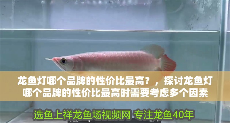 龍魚燈哪個(gè)品牌的性價(jià)比最高？，探討龍魚燈哪個(gè)品牌的性價(jià)比最高時(shí)需要考慮多個(gè)因素
