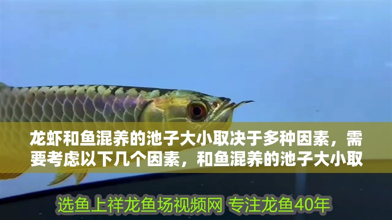 龍蝦和魚混養的池子大小取決于多種因素，需要考慮以下幾個因素，和魚混養的池子大小取決于多種因素，需要考慮以下幾個因素