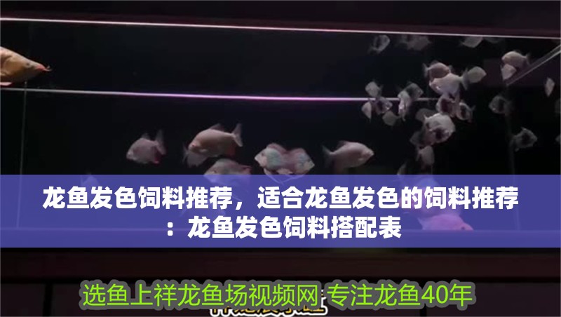 自制魚缸換氣機(jī)器視頻大全圖解：自制魚缸換氣機(jī)器視頻大全圖解，自制魚缸換氣機(jī)器視頻