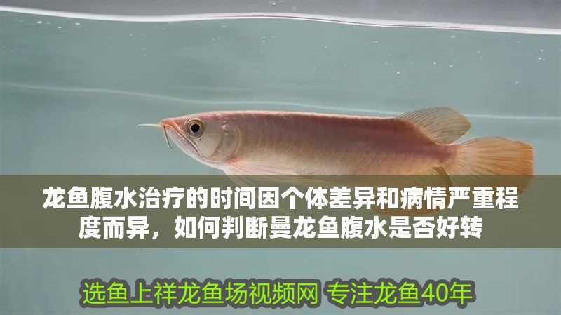 銀龍魚做法大全家常菜視頻（ 銀龍魚食譜）