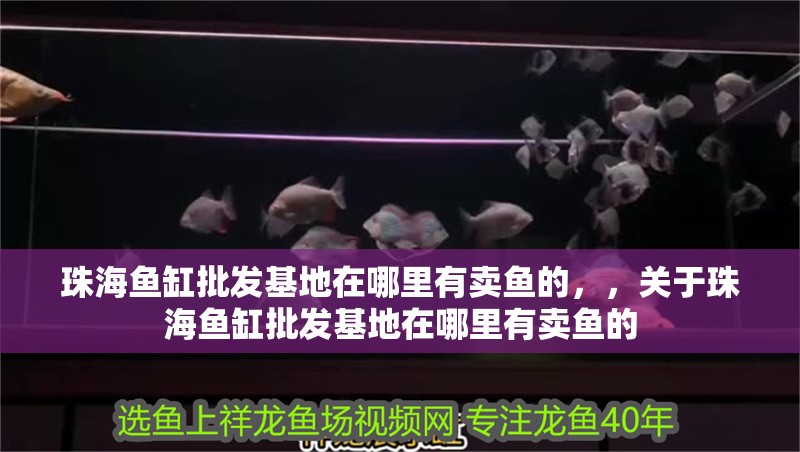 珠海魚缸批發基地在哪里有賣魚的，，關于珠海魚缸批發基地在哪里有賣魚的