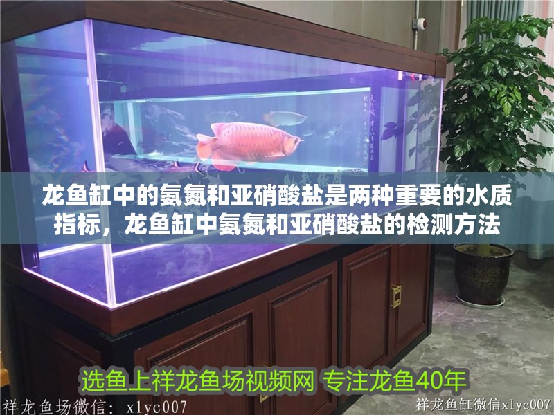 龍魚缸中的氨氮和亞硝酸鹽是兩種重要的水質指標，龍魚缸中氨氮和亞硝酸鹽的檢測方法
