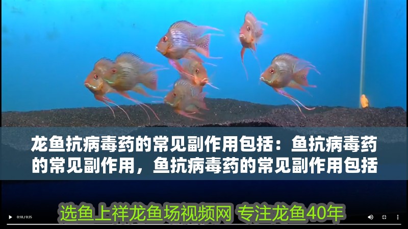 龍魚抗病毒藥的常見副作用包括：魚抗病毒藥的常見副作用，魚抗病毒藥的常見副作用包括：魚抗病毒藥的常見副作用