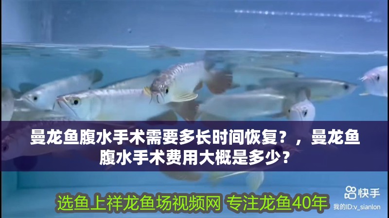 曼龍魚腹水手術需要多長時間恢復？，曼龍魚腹水手術費用大概是多少？