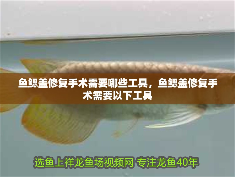 魚鰓蓋修復(fù)手術(shù)需要哪些工具，魚鰓蓋修復(fù)手術(shù)需要以下工具