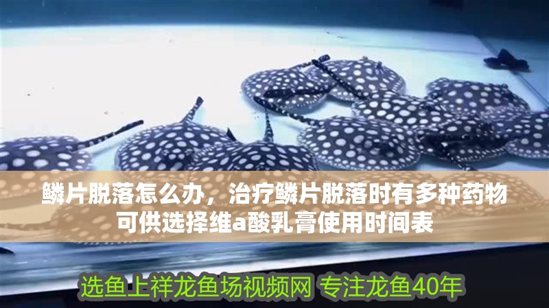 鱗片脫落怎么辦，治療鱗片脫落時有多種藥物可供選擇維a酸乳膏使用時間表