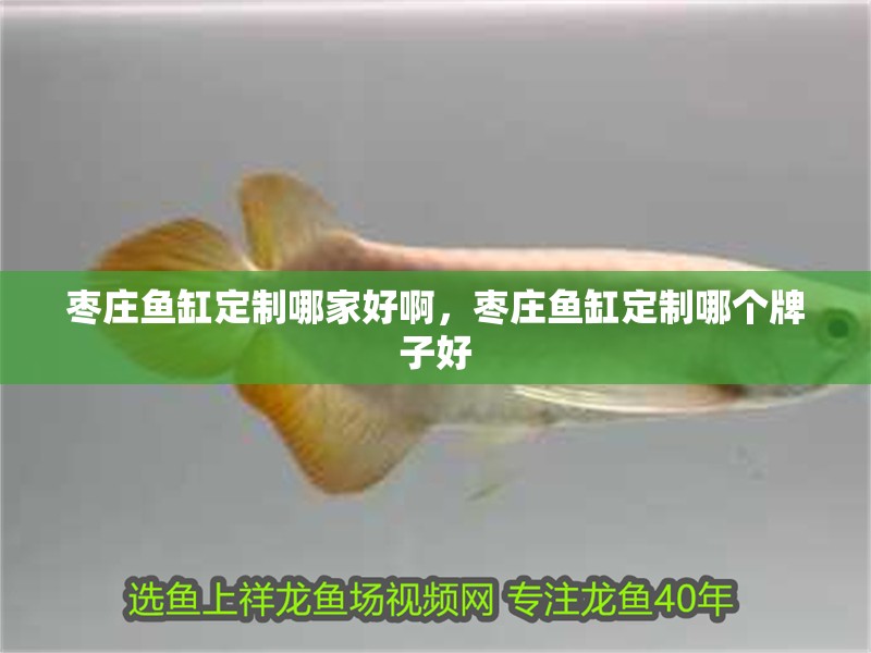 棗莊魚缸定制哪家好啊，棗莊魚缸定制哪個牌子好