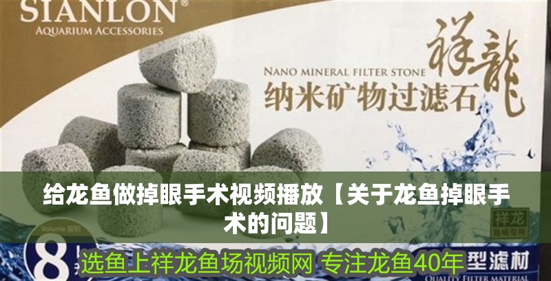 龍魚腮部起泡是常見的問題，龍魚腮部起泡會自愈嗎，如何判斷龍魚是否再次起泡？