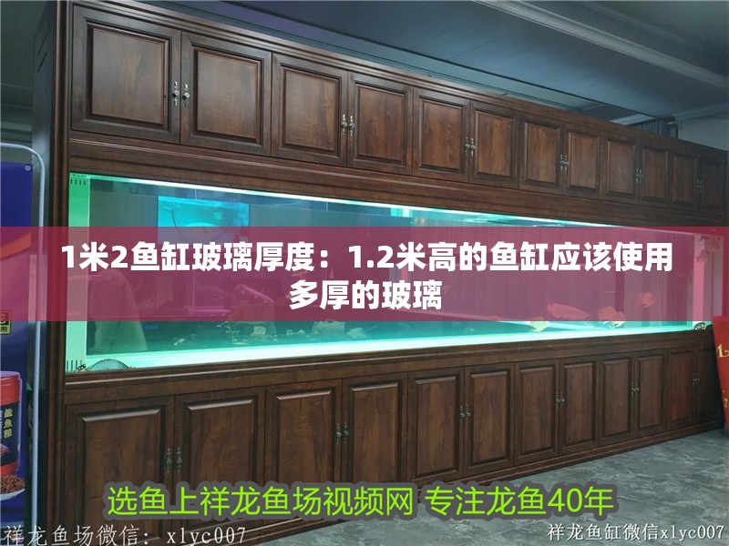 高背龍魚的發色需要多長時間才能恢復正常？，高背龍魚的發色需要多久才能恢復正常高背龍魚發色恢復正常