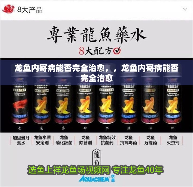 龍魚內寄病能否完全治愈，，龍魚內寄病能否完全治愈