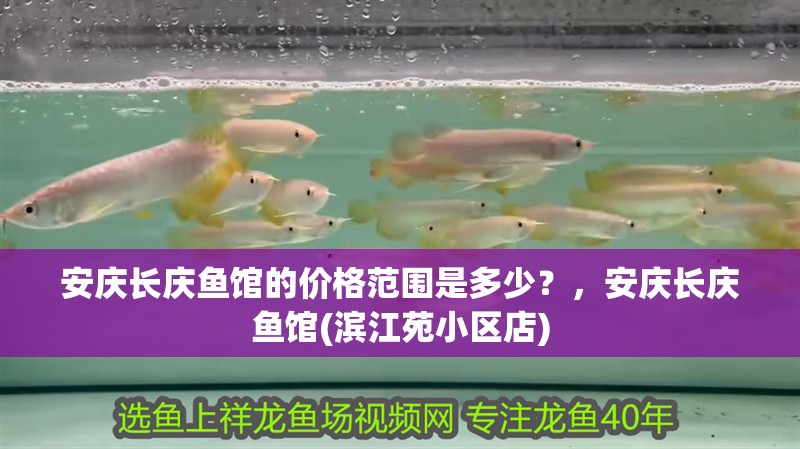 安慶長慶魚館的價格范圍是多少？，安慶長慶魚館(濱江苑小區(qū)店)