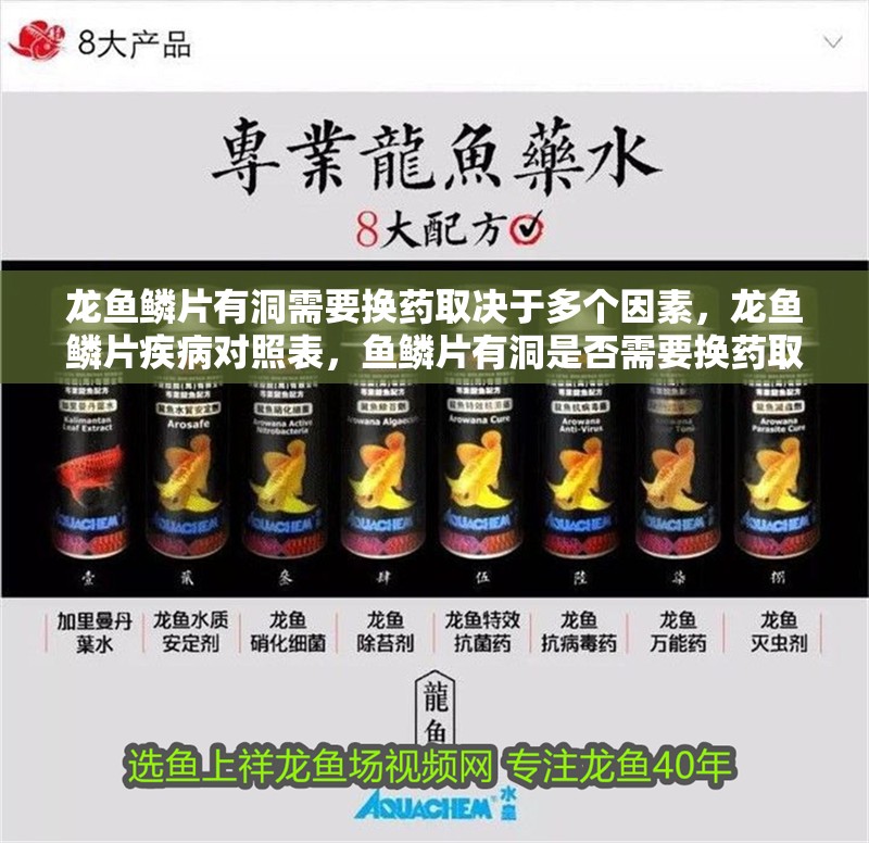龍魚(yú)鱗片有洞需要換藥取決于多個(gè)因素，龍魚(yú)鱗片疾病對(duì)照表，魚(yú)鱗片有洞是否需要換藥取決于多個(gè)因素