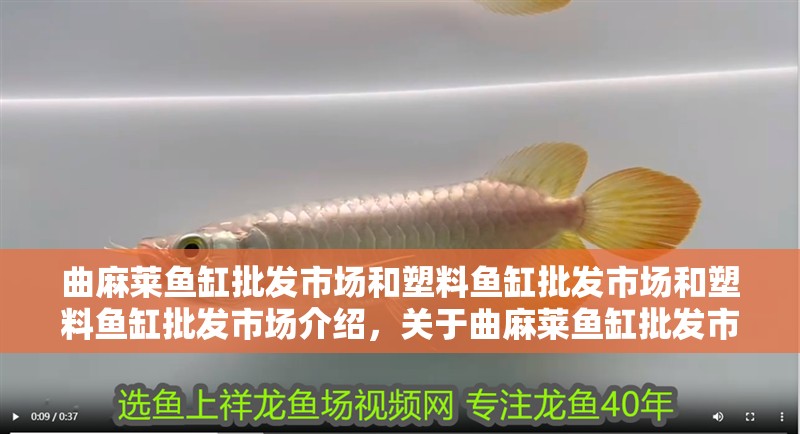 龍魚外寄的癥狀主要表現(xiàn)為體表或魚鰭上出現(xiàn)小疙瘩潰爛，龍魚外寄如何治療