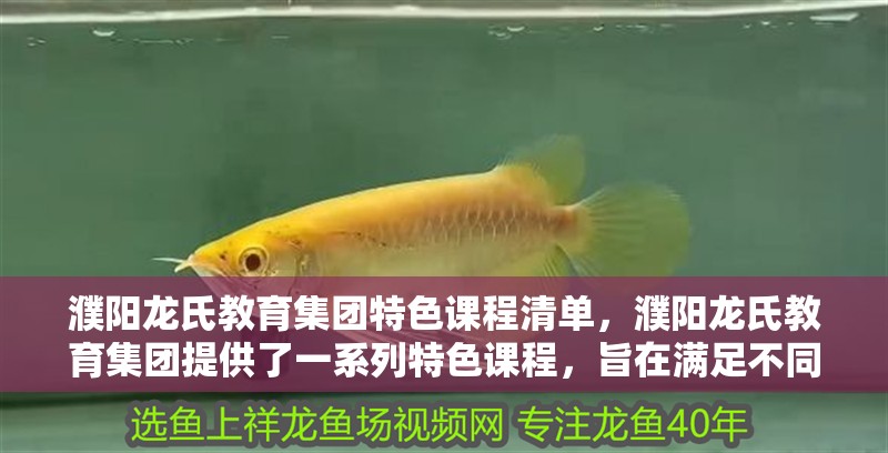 濮陽龍氏教育集團特色課程清單，濮陽龍氏教育集團提供了一系列特色課程，旨在滿足不同年齡段和學習需求的學生