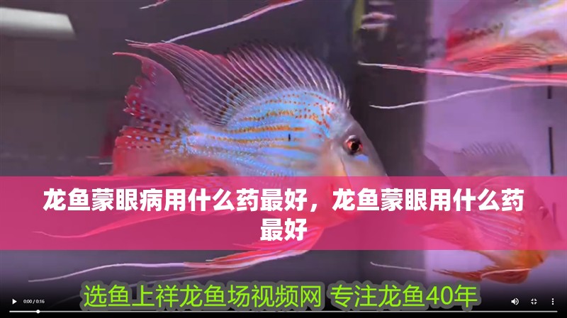 龍魚蒙眼病用什么藥最好，龍魚蒙眼用什么藥最好