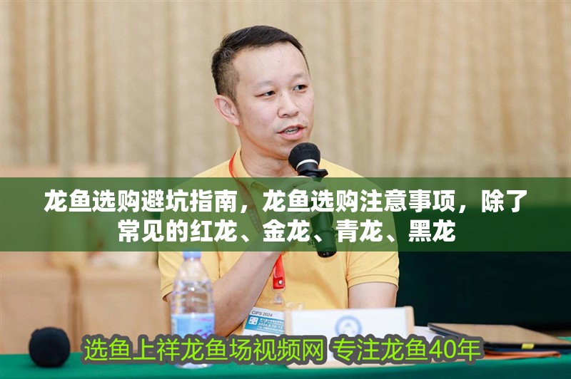 龍魚選購避坑指南，龍魚選購注意事項(xiàng)，除了常見的紅龍、金龍、青龍、黑龍
