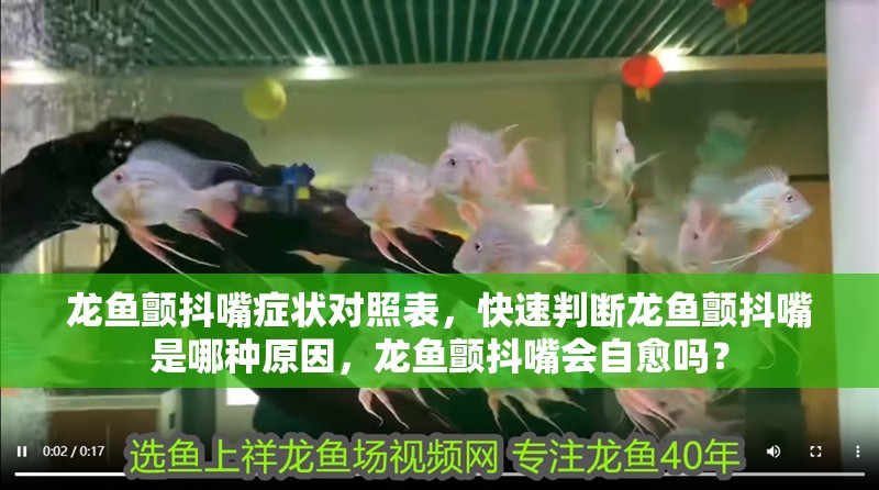 龍魚顫抖嘴癥狀對照表，快速判斷龍魚顫抖嘴是哪種原因，龍魚顫抖嘴會自愈嗎？