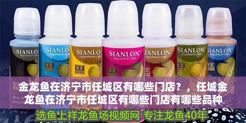 金龍魚在濟寧市任城區有哪些門店？，任城金龍魚在濟寧市任城區有哪些門店有哪些品種
