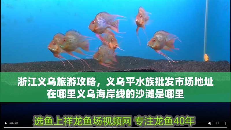 浙江義烏旅游攻略，義烏平水族批發市場地址在哪里義烏海岸線的沙灘是哪里