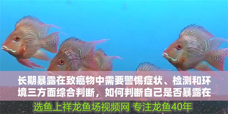 長期暴露在致癌物中需要警惕癥狀、檢測和環境三方面綜合判斷，如何判斷自己是否暴露在致癌物中？