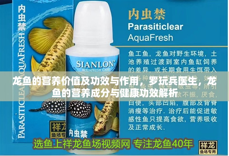 龍魚(yú)的營(yíng)養(yǎng)價(jià)值及功效與作用，羅玩兵醫(yī)生，龍魚(yú)的營(yíng)養(yǎng)成分與健康功效解析