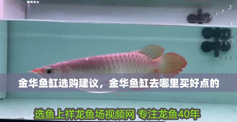 金華魚缸選購建議，金華魚缸去哪里買好點的