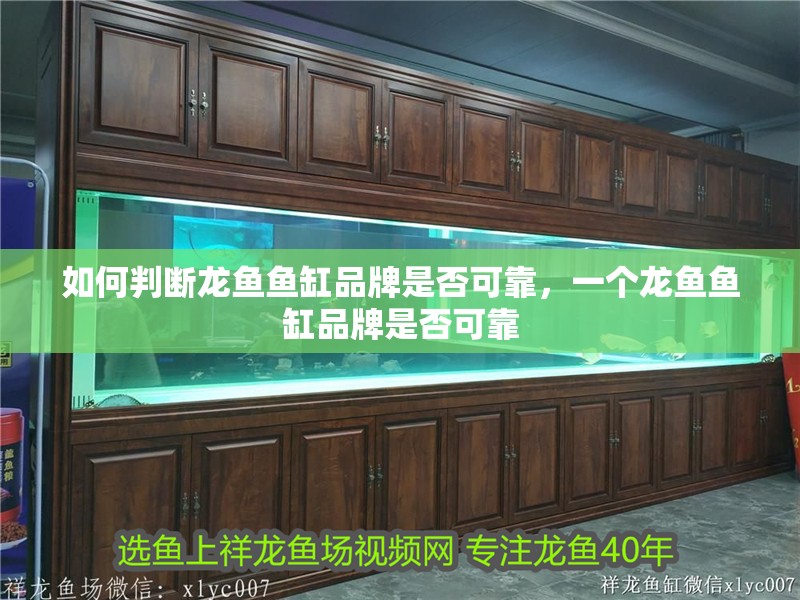 如何判斷龍魚(yú)魚(yú)缸品牌是否可靠，一個(gè)龍魚(yú)魚(yú)缸品牌是否可靠