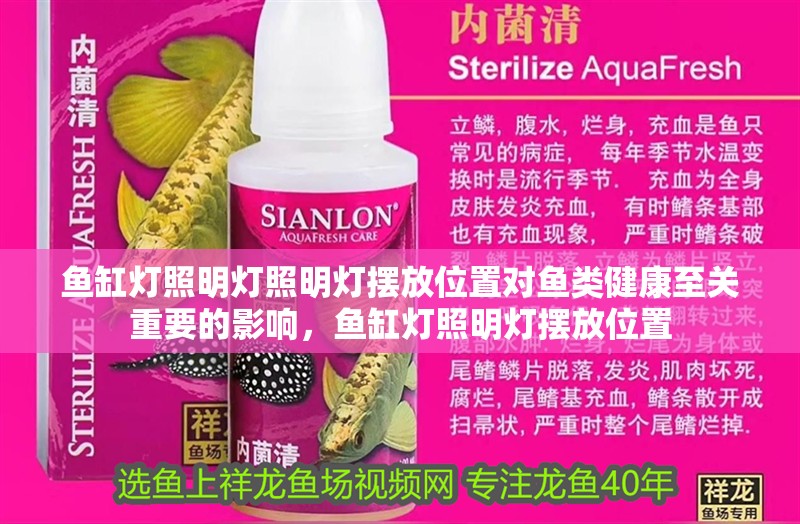 魚缸燈照明燈照明燈擺放位置對魚類健康至關重要的影響，魚缸燈照明燈擺放位置 魚缸燈照明燈照明燈擺放位置對魚類健康至關重要的影響，魚缸燈照明燈擺放位置 觀賞魚百科 第2張