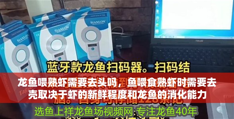 龍魚喂熟蝦需要去頭嗎，魚喂食熟蝦時需要去殼取決于蝦的新鮮程度和龍魚的消化能力 龍魚喂熟蝦需要去頭嗎，魚喂食熟蝦時需要去殼取決于蝦的新鮮程度和龍魚的消化能力 龍魚百科