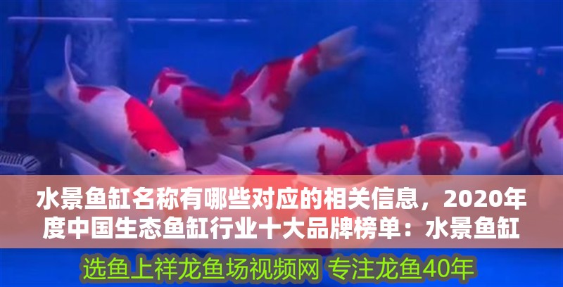 水景魚(yú)缸名稱(chēng)有哪些對(duì)應(yīng)的相關(guān)信息，2020年度中國(guó)生態(tài)魚(yú)缸行業(yè)十大品牌榜單：水景魚(yú)缸