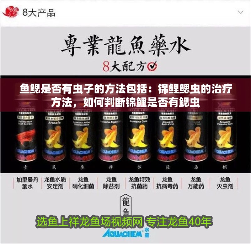 魚鰓是否有蟲子的方法包括：錦鯉鰓蟲的治療方法，如何判斷錦鯉是否有鰓蟲