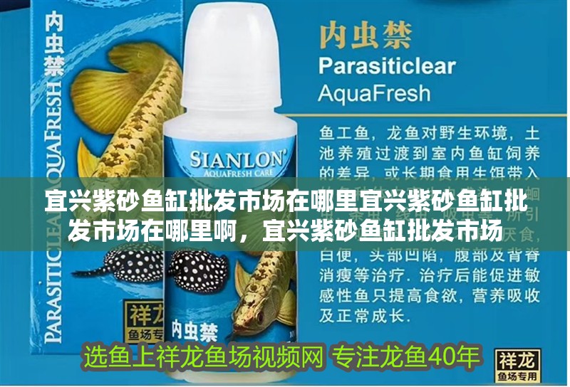 宜興紫砂魚缸批發(fā)市場在哪里宜興紫砂魚缸批發(fā)市場在哪里啊，宜興紫砂魚缸批發(fā)市場