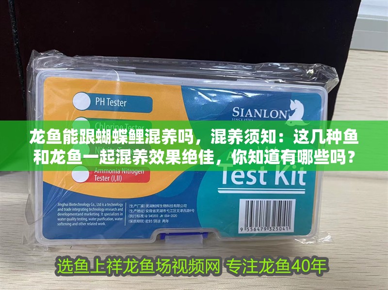 龍魚能跟蝴蝶鯉混養嗎，混養須知：這幾種魚和龍魚一起混養效果絕佳，你知道有哪些嗎？