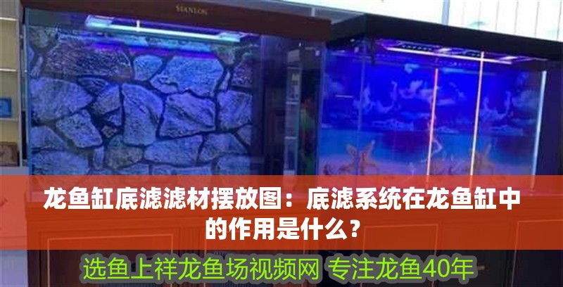 龍魚缸底濾濾材擺放圖：底濾系統(tǒng)在龍魚缸中的作用是什么？