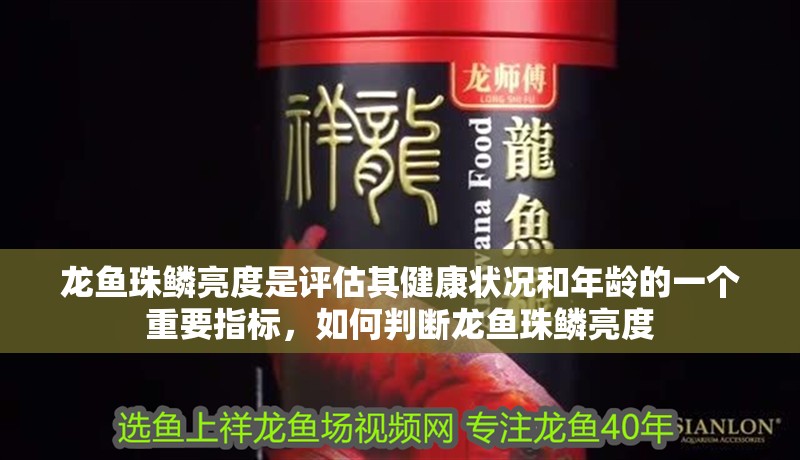龍魚珠鱗亮度是評估其健康狀況和年齡的一個重要指標，如何判斷龍魚珠鱗亮度