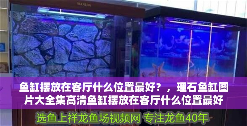 魚缸擺放在客廳什么位置最好？，理石魚缸圖片大全集高清魚缸擺放在客廳什么位置最好