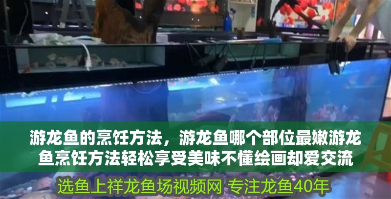 游龍魚的烹飪方法，游龍魚哪個(gè)部位最嫩游龍魚烹飪方法輕松享受美味不懂繪畫卻愛交流