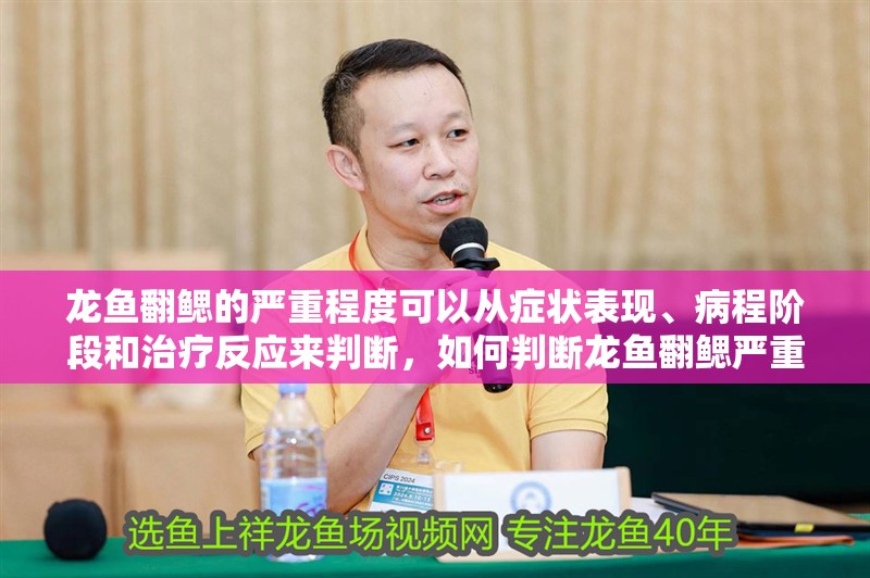 龍魚翻鰓的嚴(yán)重程度可以從癥狀表現(xiàn)、病程階段和治療反應(yīng)來判斷，如何判斷龍魚翻鰓嚴(yán)重程度
