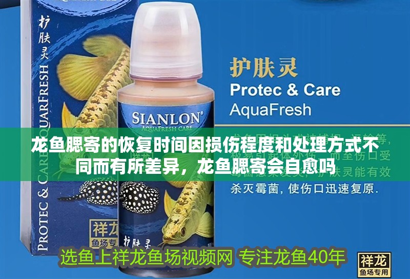 龍魚腮寄的恢復時間因損傷程度和處理方式不同而有所差異，龍魚腮寄會自愈嗎