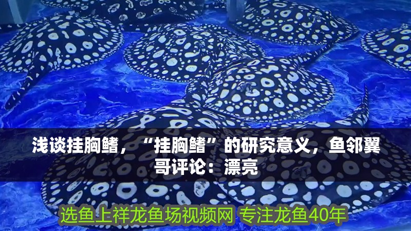淺談掛胸鰭，“掛胸鰭”的研究意義，魚鄰翼哥評論：漂亮