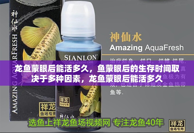 龍魚蒙眼后能活多久，魚蒙眼后的生存時(shí)間取決于多種因素，龍魚蒙眼后能活多久