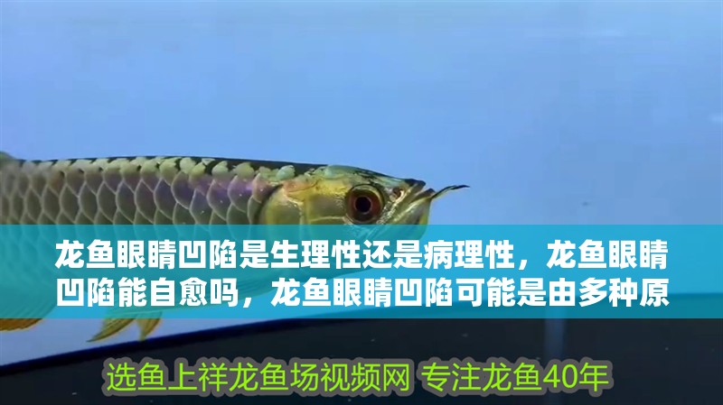 龍魚眼睛凹陷是生理性還是病理性，龍魚眼睛凹陷能自愈嗎，龍魚眼睛凹陷可能是由多種原因引起的，龍魚眼睛凹陷能自愈嗎