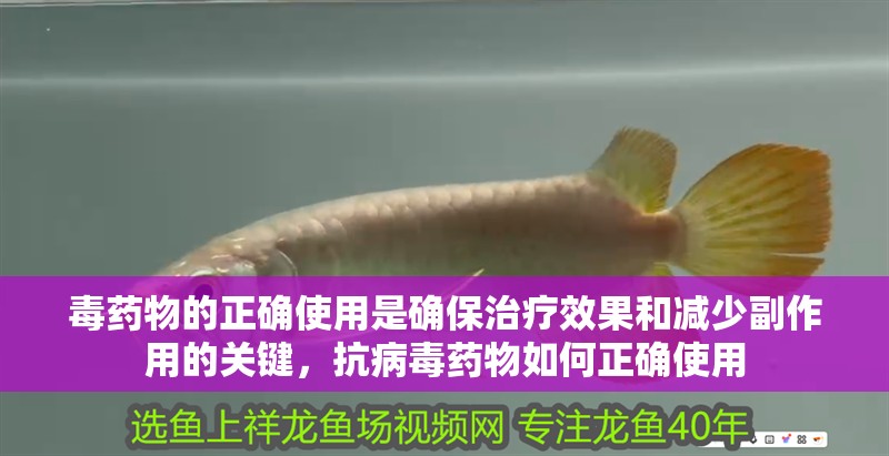 毒藥物的正確使用是確保治療效果和減少副作用的關(guān)鍵，抗病毒藥物如何正確使用