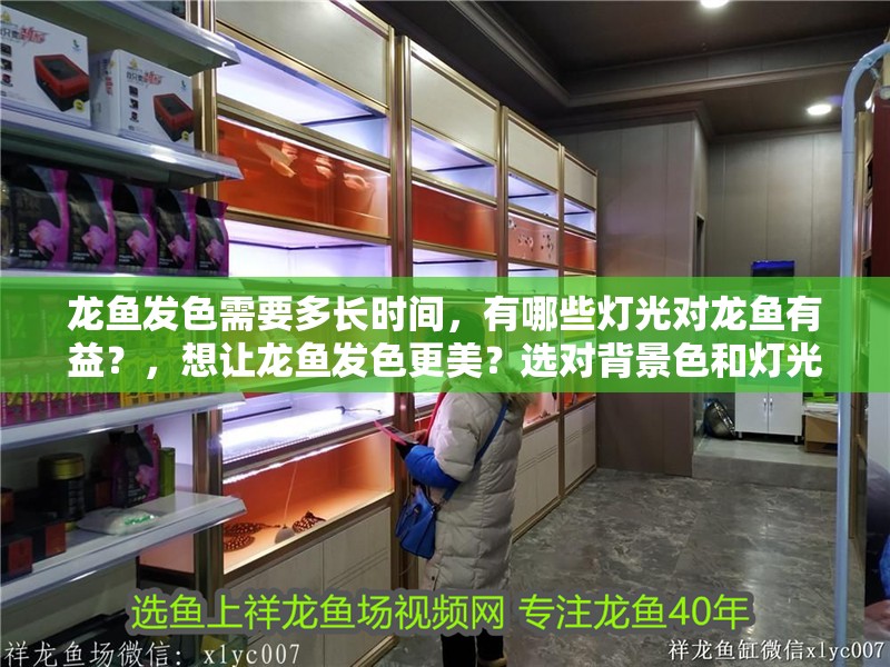 龍魚發(fā)色需要多長時間，有哪些燈光對龍魚有益？，想讓龍魚發(fā)色更美？選對背景色和燈光是關鍵！